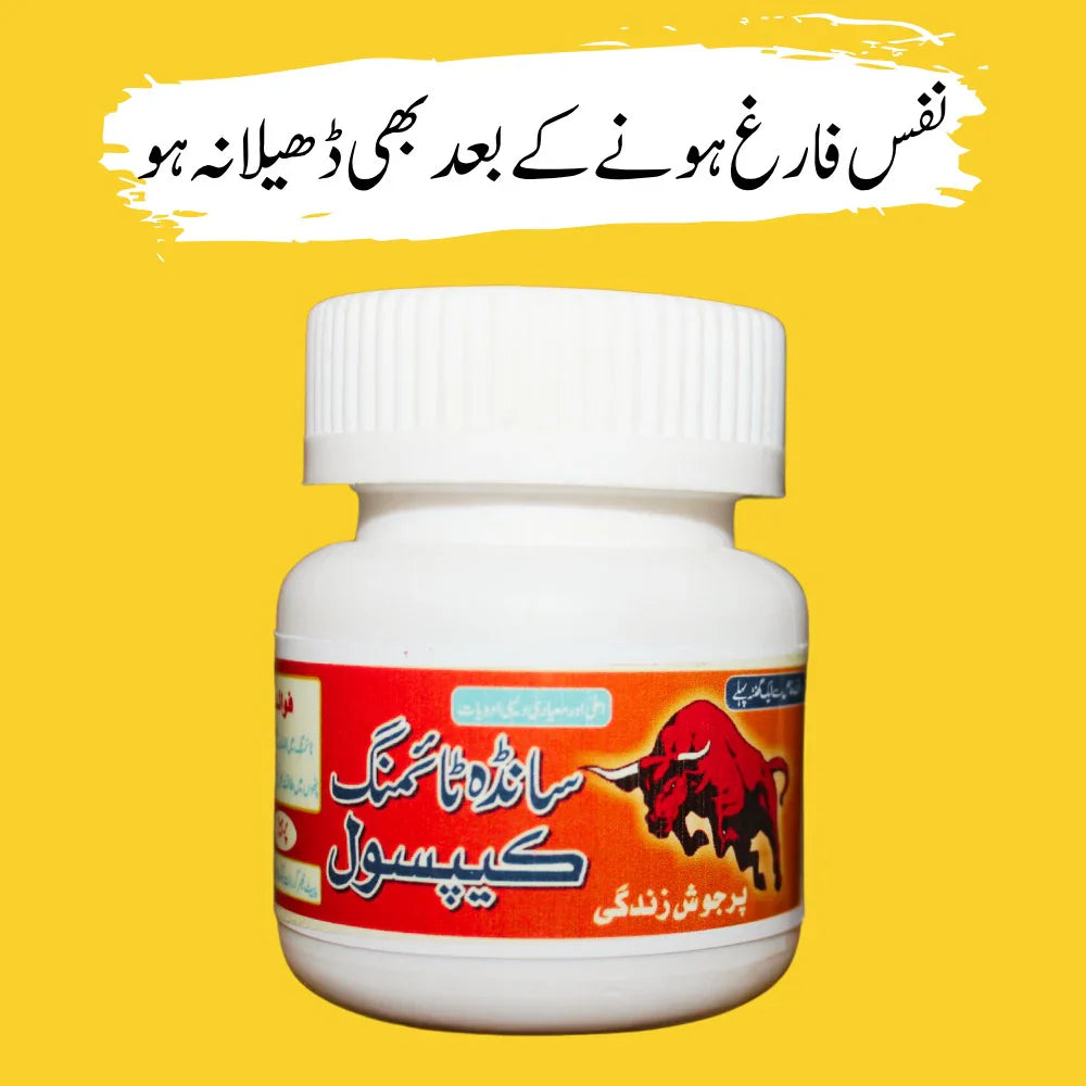 SANDHA TIMING CAPSULE