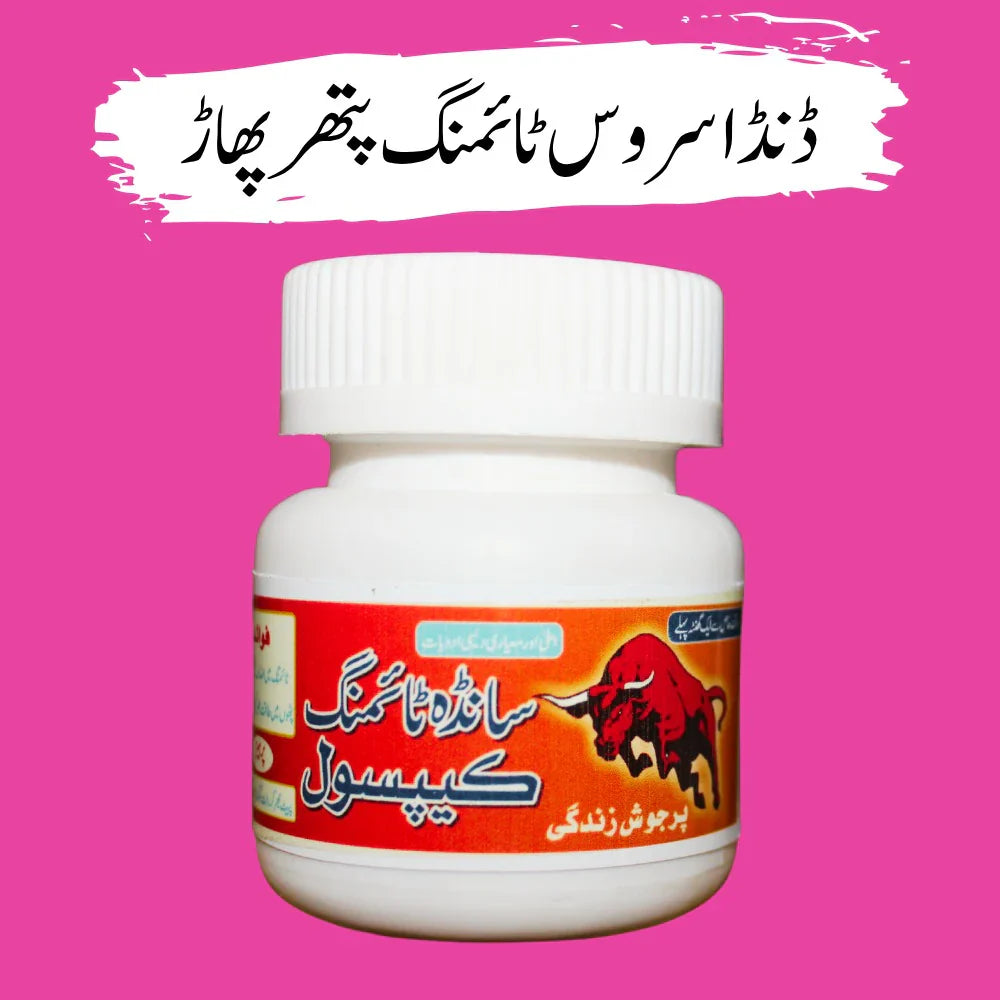 SANDHA TIMING CAPSULE