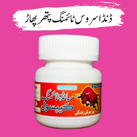 SANDHA TIMING CAPSULE