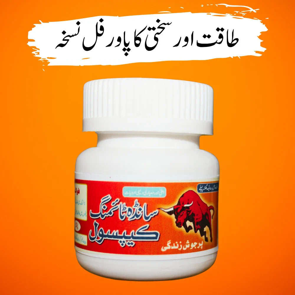SANDHA TIMING CAPSULE