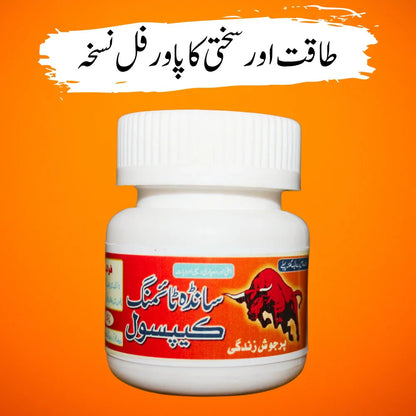 SANDHA TIMING CAPSULE